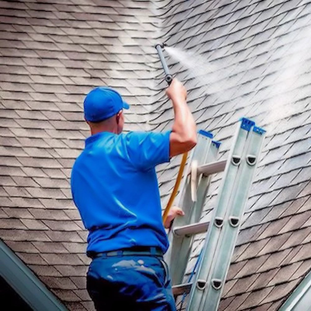 Exterior cleaning specialist applying soft wash treatment to delicate residential siding surfaces